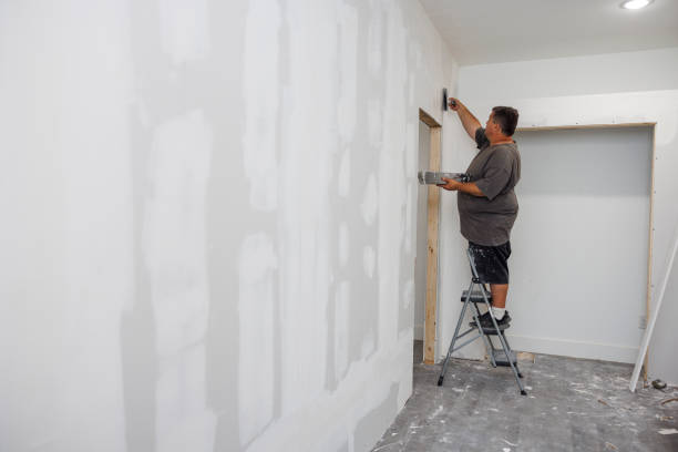 Best Mold Remediation for Healthcare Facilities  in Stafford, TX