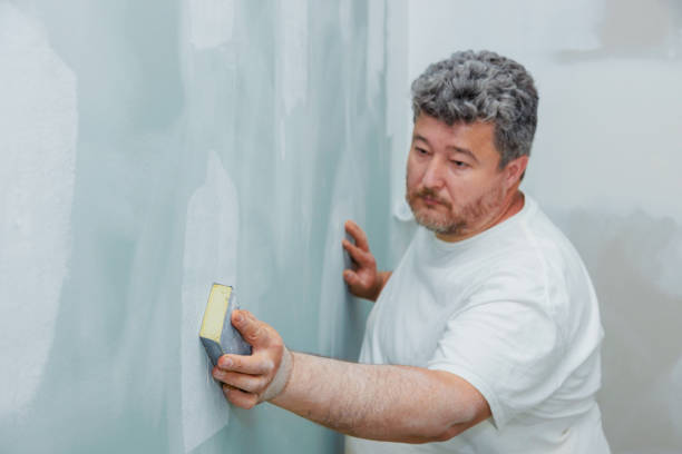 Best Attic Mold Removal  in Stafford, TX