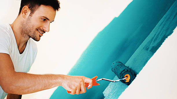 Professional Mold Removal in Stafford, TX